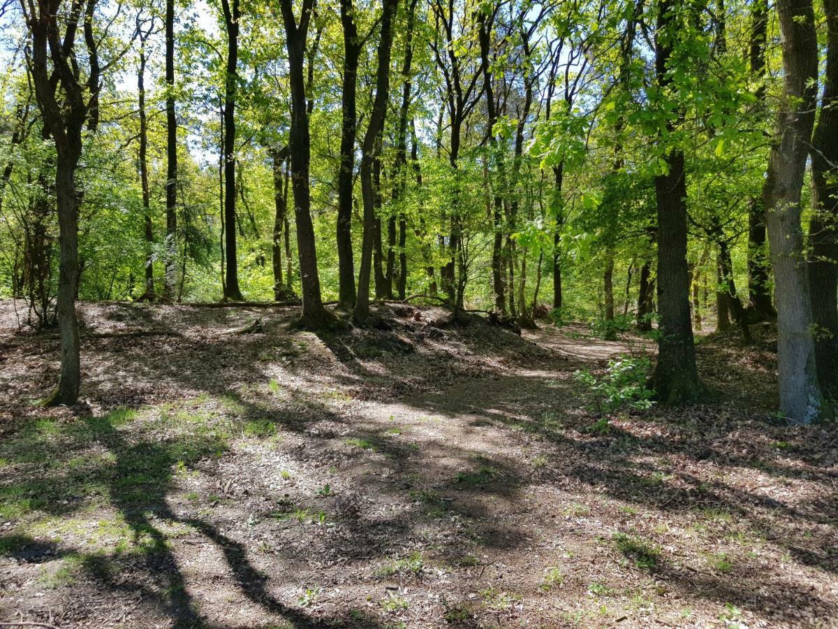 Knusse 5 Persoons Bungalow Hartje Veluwe Otterlo Esterno foto