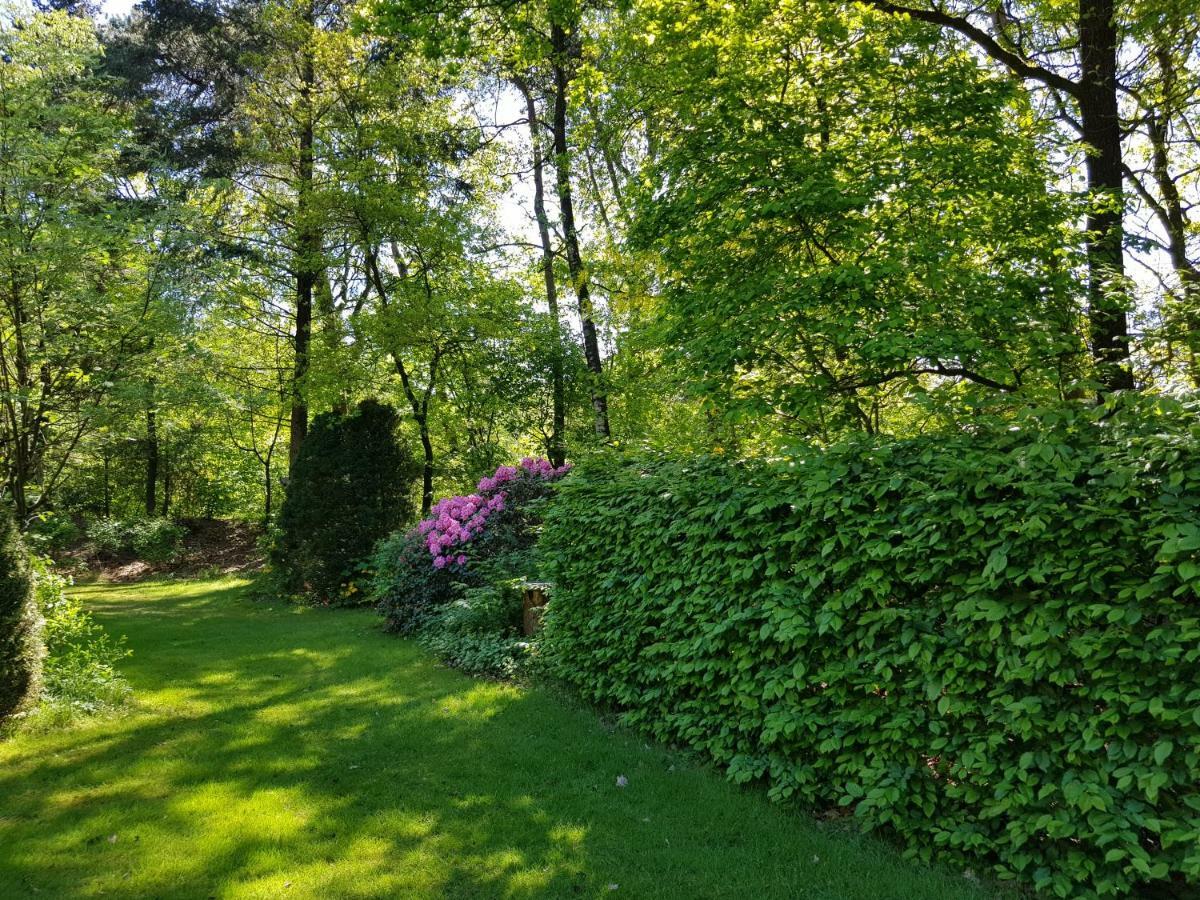 Knusse 5 Persoons Bungalow Hartje Veluwe Otterlo Esterno foto